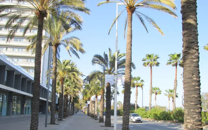 Piso en Calle de Bac de Roda, 11 X, El Poblenou - Foto 22