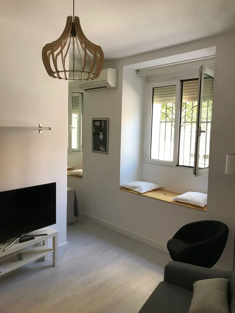 Piso en Calle Marqués de Santa Ana, 41, Malasaña-Universidad - Foto 4