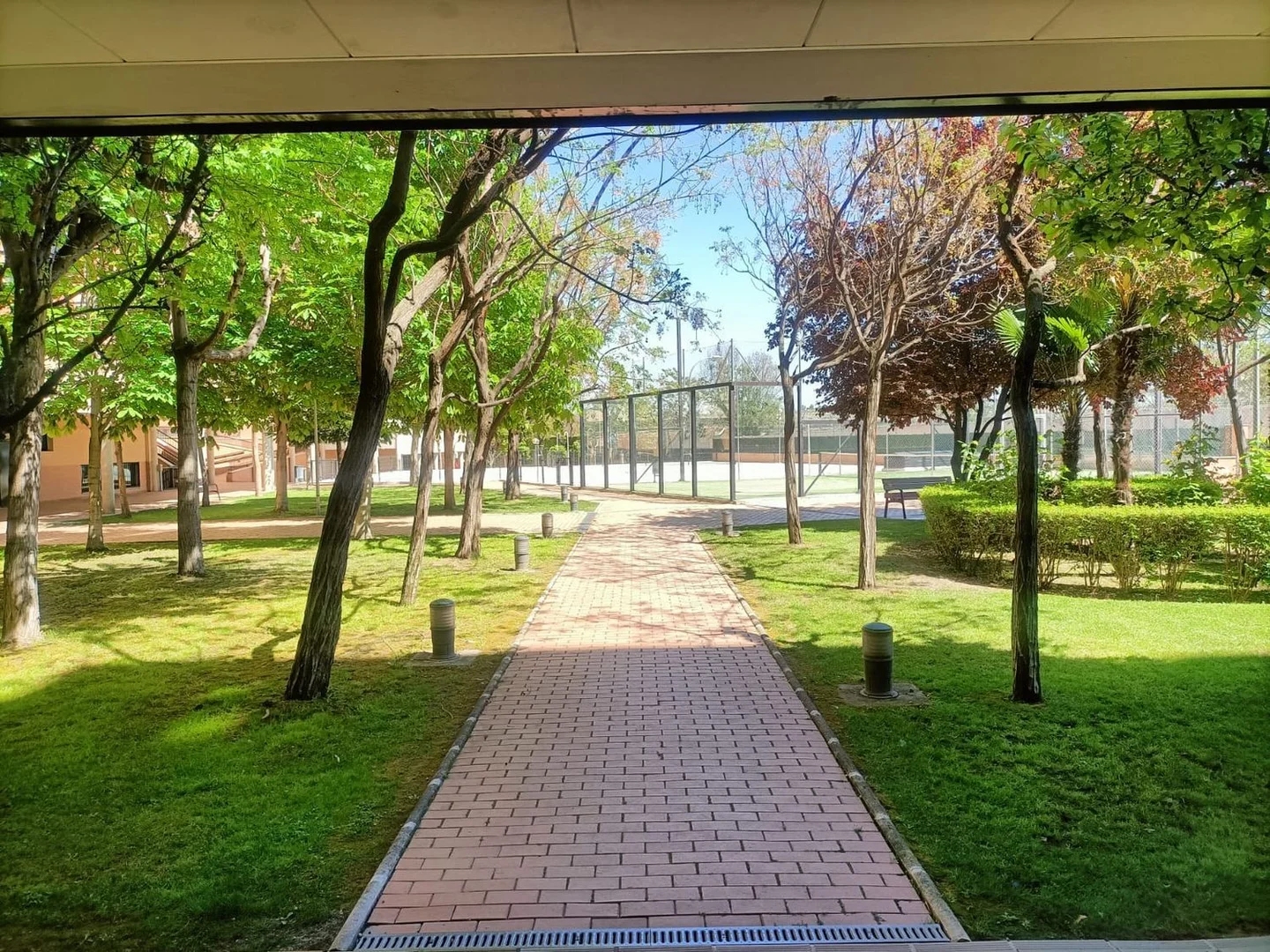 Alquiler de estudio en Calle Augustóbriga, 5 - Foto 12