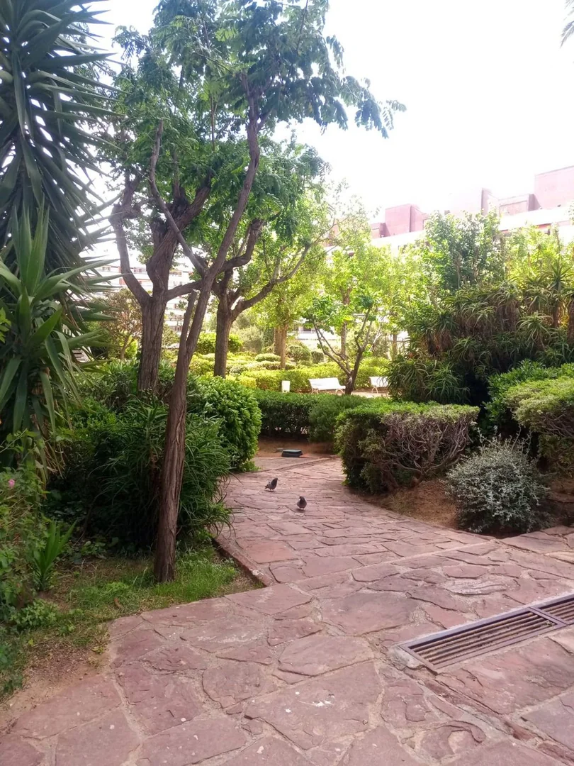 Estudio en El Camp d'En Grassot i Gràcia Nova - Foto 7