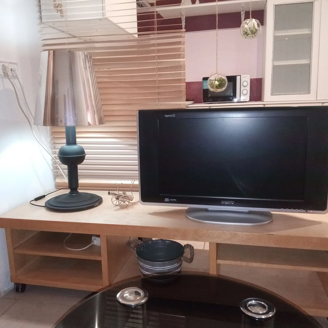 Estudio en Avenida del Mediterráneo, 50, Adelfas - Foto 4