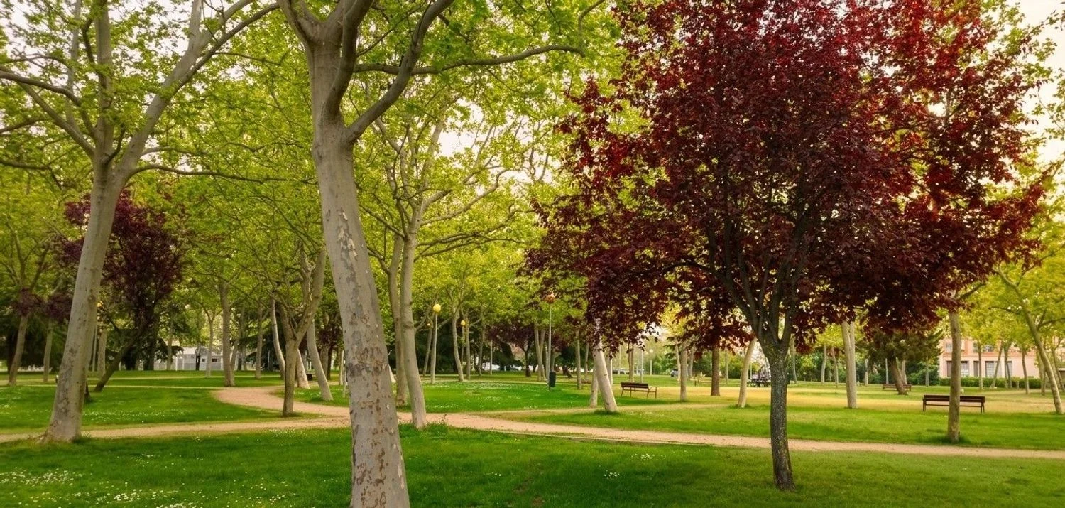 Piso en Barrio Pilar - Foto 16