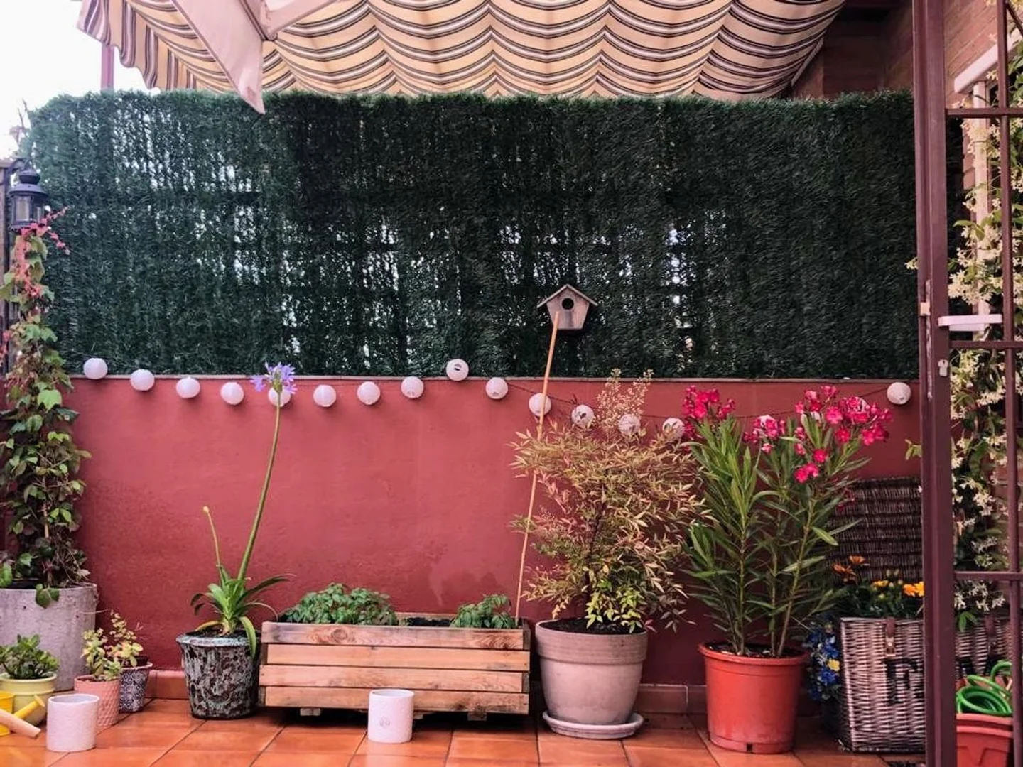 Piso en Calle de Zabaleta, 59, Prosperidad - Foto 22
