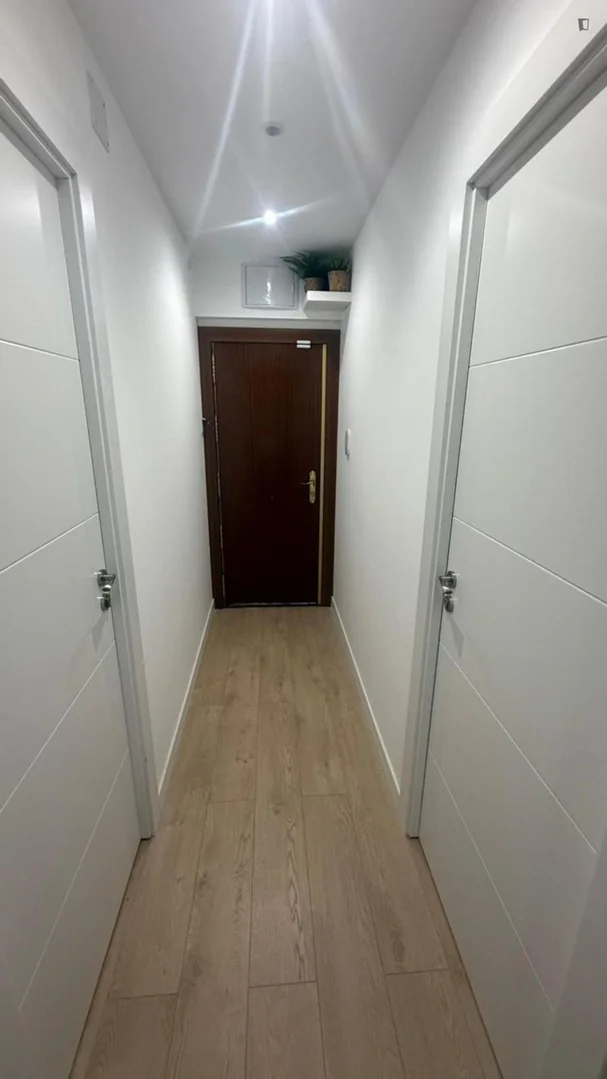 Estudio en Calle de Godella, San Cristóbal - Foto 4