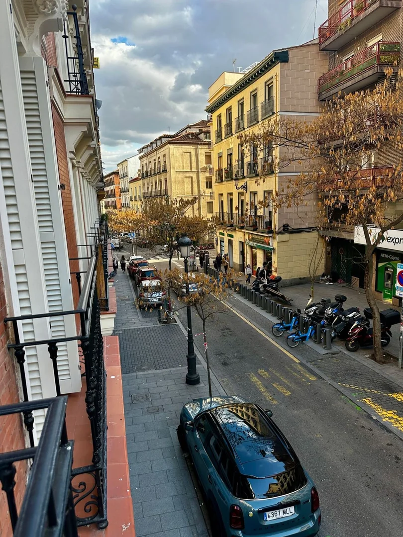 Piso en Calle de Santa Isabel, 9, Lavapiés-Embajadores - Foto 13