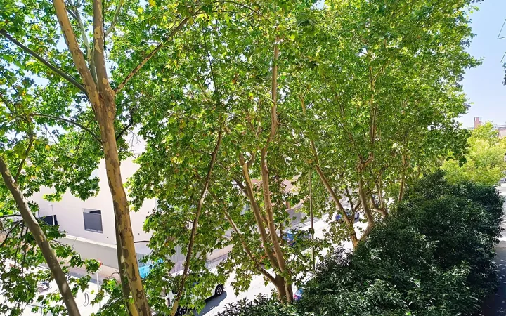 Piso en Calle de Téllez, 3, Pacífico - Foto 1