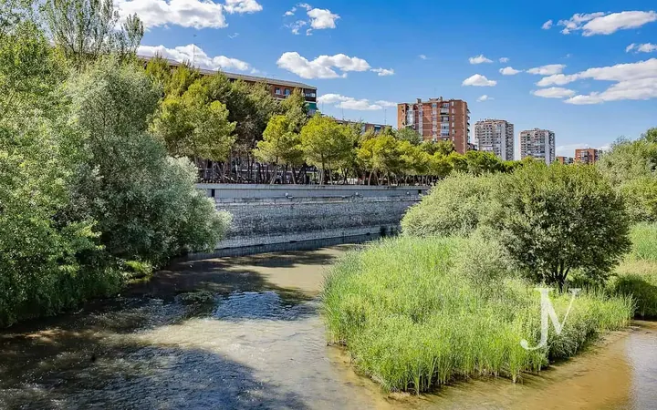 Piso en  Paseo de la Virgen del Puerto - Foto 12