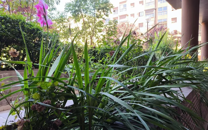 Piso en Calle de Deyanira, 59, Rejas - Foto 21