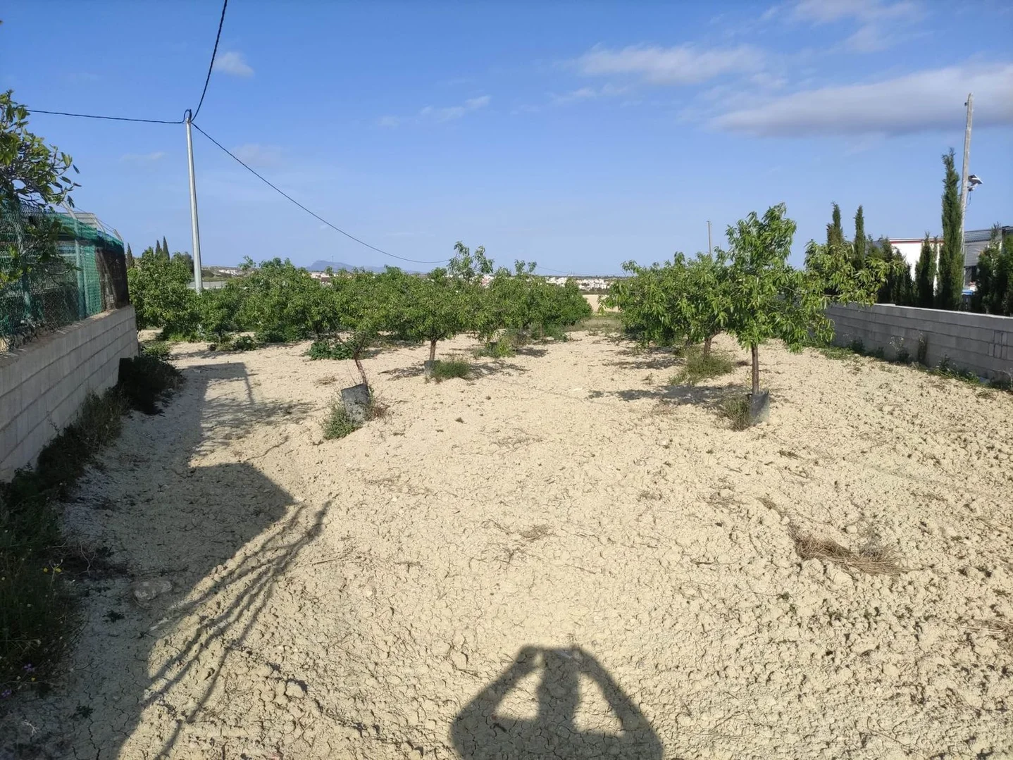 Finca rústica en casa rústica e Paraje Los Urreas 51 Losurreas, Murcia, 51 - Foto 23