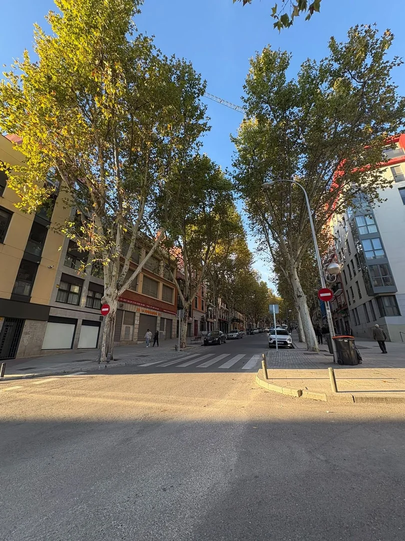 Piso en Calle de Mira el Sol, 19, Lavapiés-Embajadores - Foto 21
