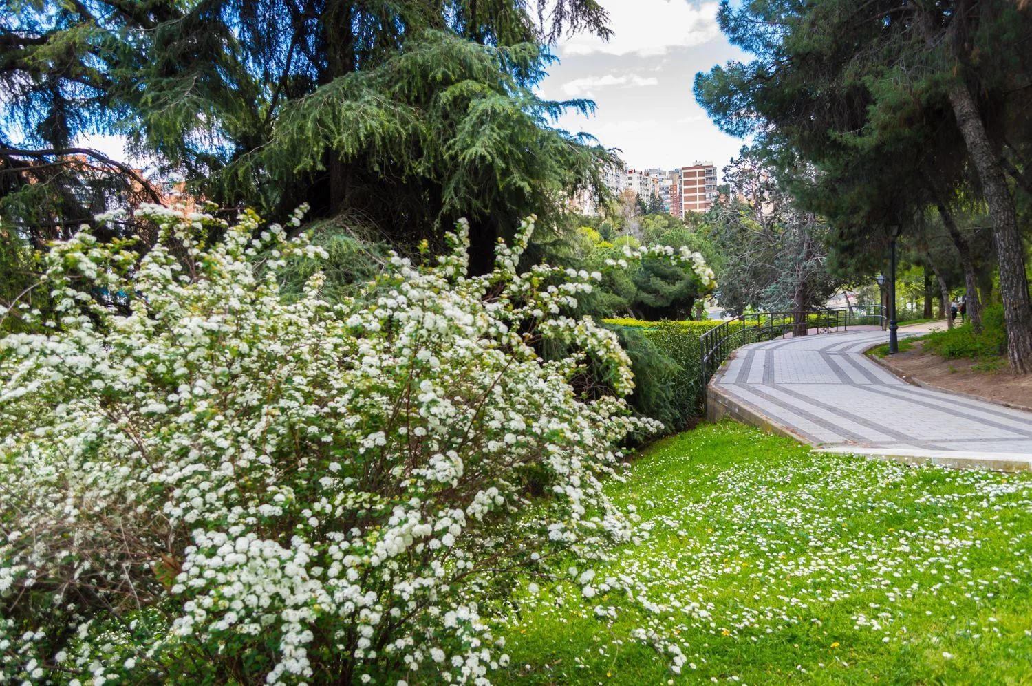 Piso en Barrio Fuente del Berro - Foto 41