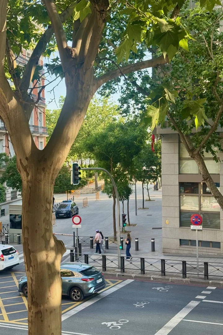Piso en Calle de Génova, Almagro - Foto 35