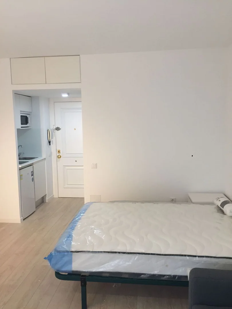 Estudio en Calle del Conde de Serrallo, 1, Ventilla-Almenara - Foto 6
