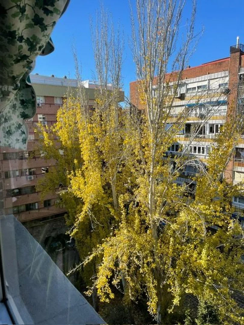 Piso en Barrio Bernabéu-Hispanoamérica - Foto 57