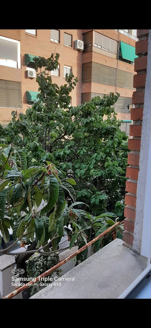 Piso en Calle Tírvia, 6, Ciudad Universitaria - Foto 7