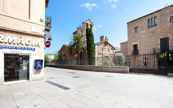 Estudio en Calle de la Reina Amàlia, 35, El Raval - Foto 12