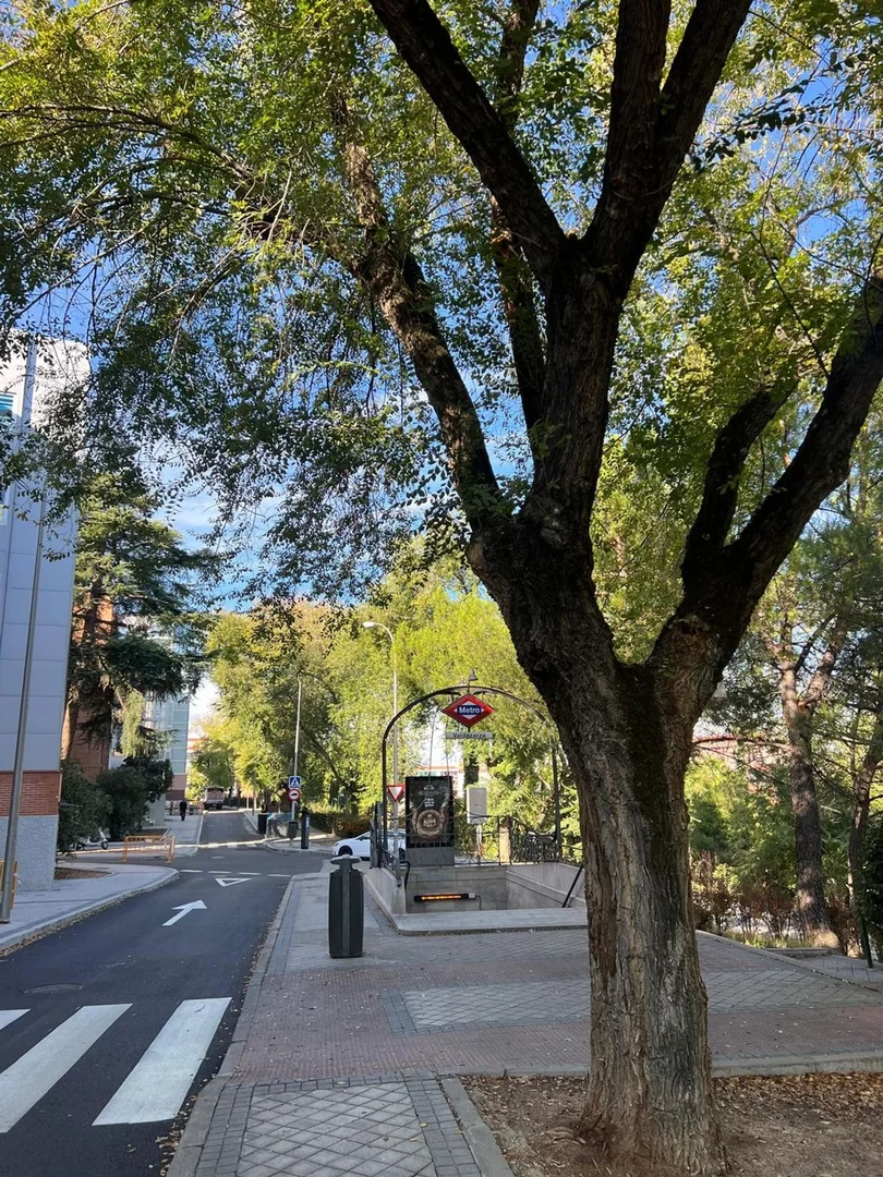 Piso en Calle de Armenteros, Valdezarza - Foto 18