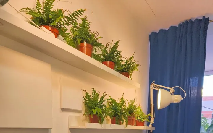 Estudio en Calle de Sugranyes, Sants - Badal - Foto 35