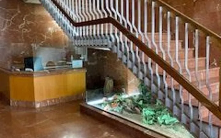 Piso en Calle de Rosario Pino, 18, Cuzco-Castillejos - Foto 10