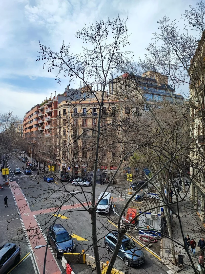 Piso en calle del Consell de Cent, 446 - Foto 8