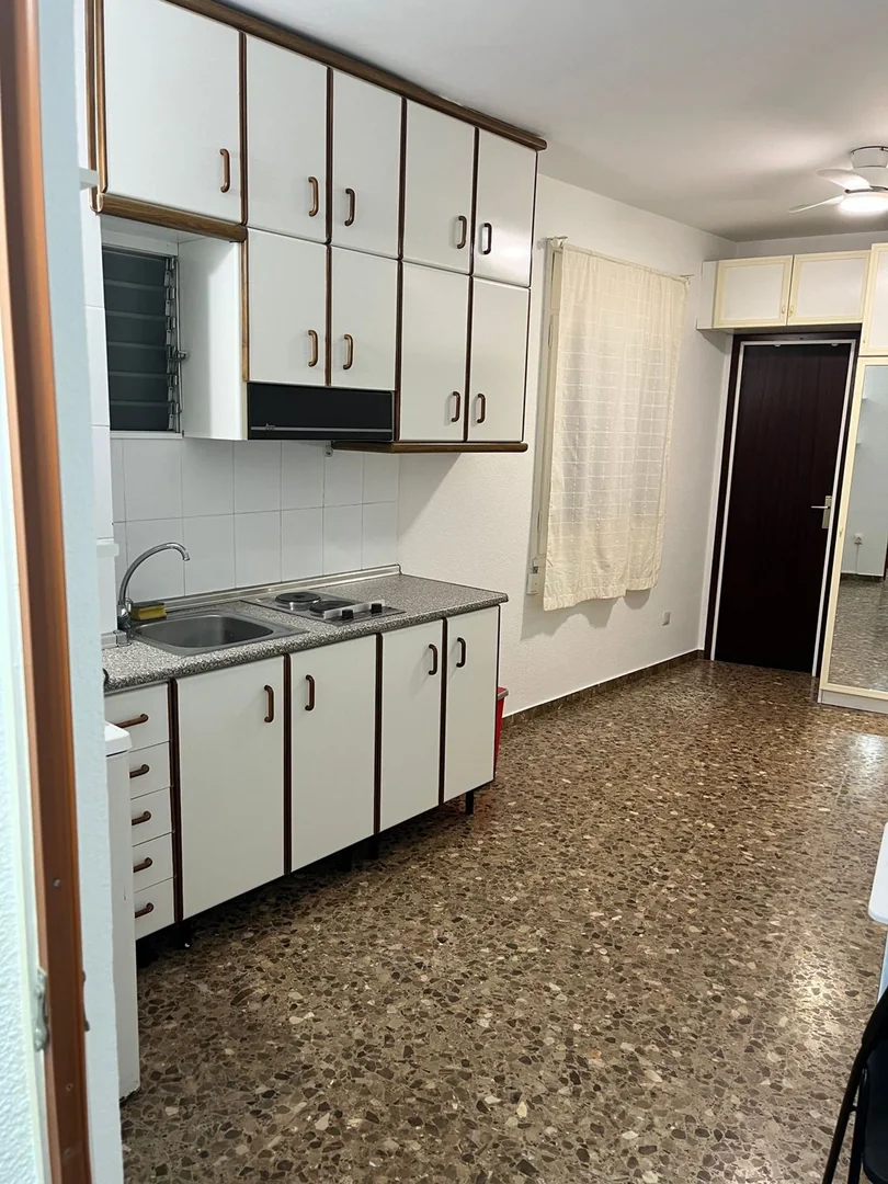 Estudio en Calle de Mejía Lequerica, 10, La Maternitat i Sant Ramon - Foto 3