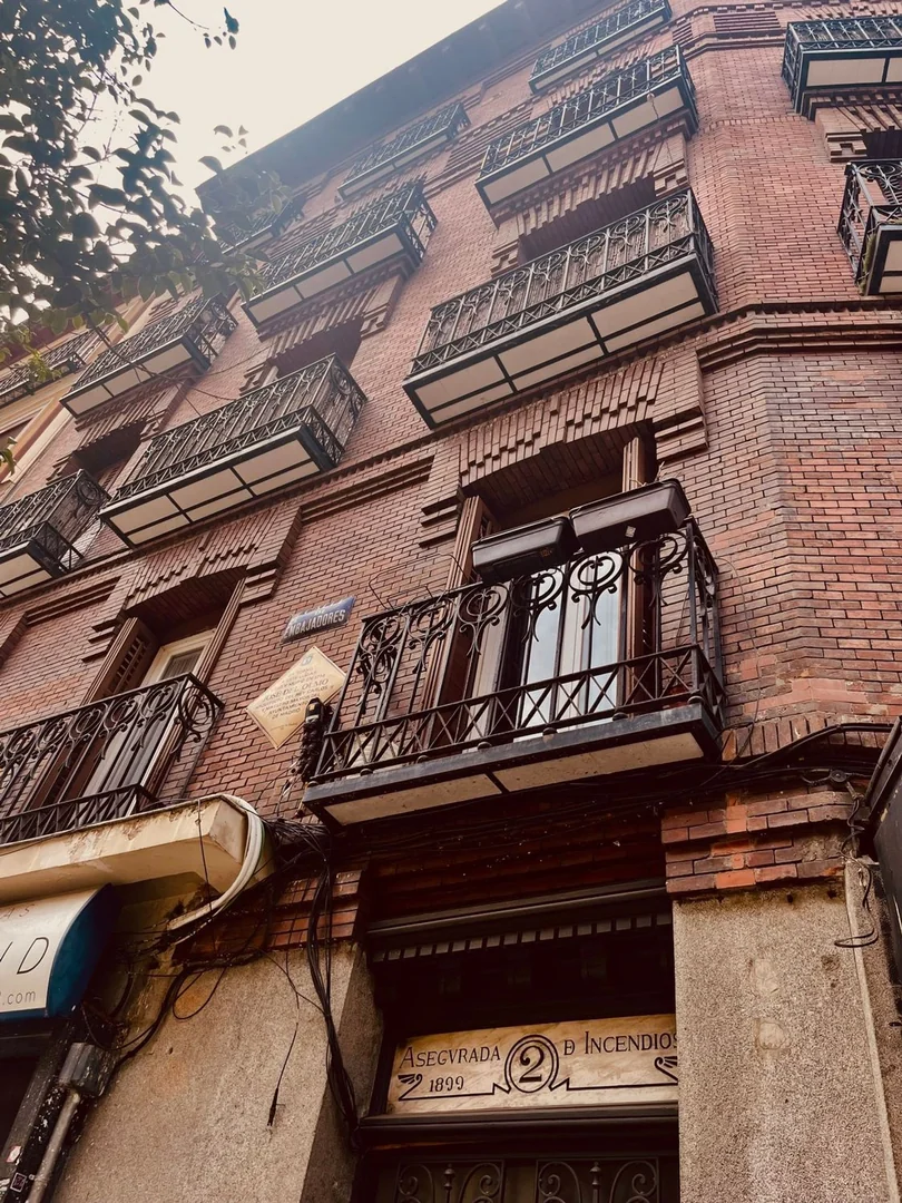 Ático en Plaza de Cascorro, 2, Lavapiés-Embajadores - Foto 33