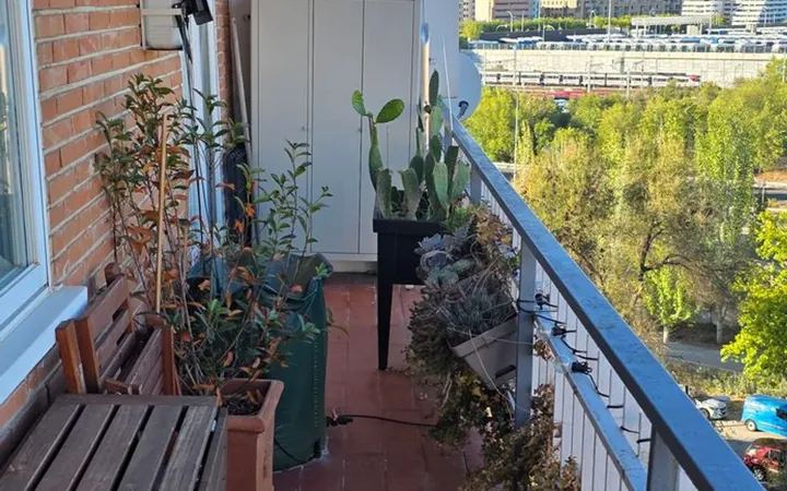 Piso en Pinar del Rey, Pinar del Rey - Foto 3