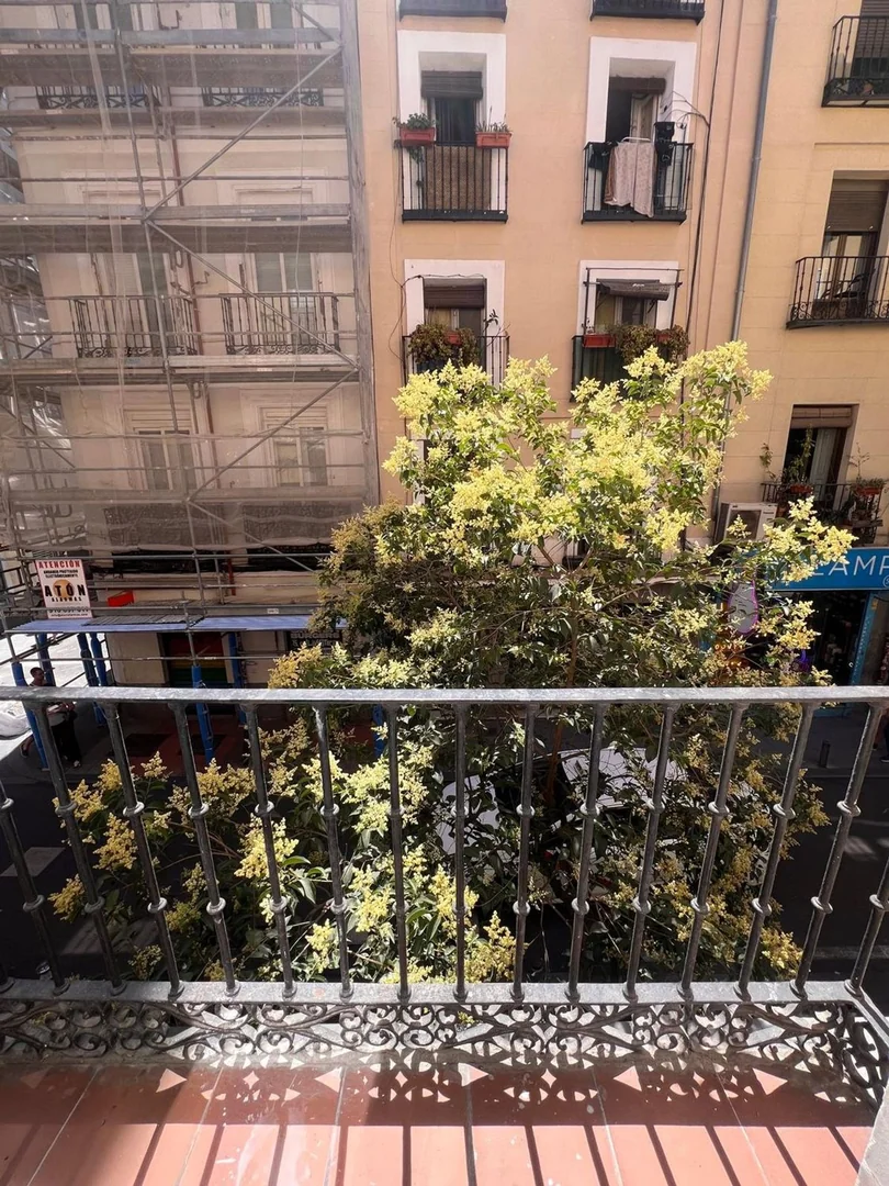 Piso en Calle de Hortaleza, 43, Chueca-Justicia - Foto 12