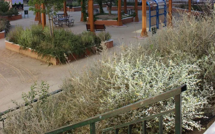 Piso en Plaza de Corcubión, Pilar - Foto 2