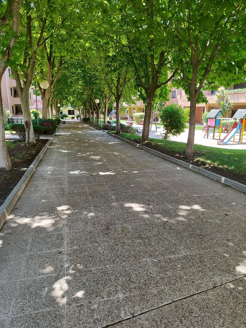 Piso en Avenida Europa, 30, Aravaca - Foto 23