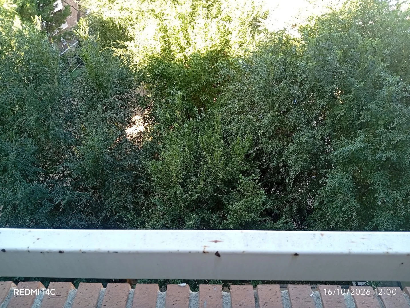 Piso en Calle de Toledo, 140, Imperial - Foto 5