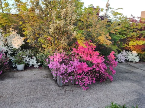 Ático en calle de Nanclares de Oca, 30 - Foto 9