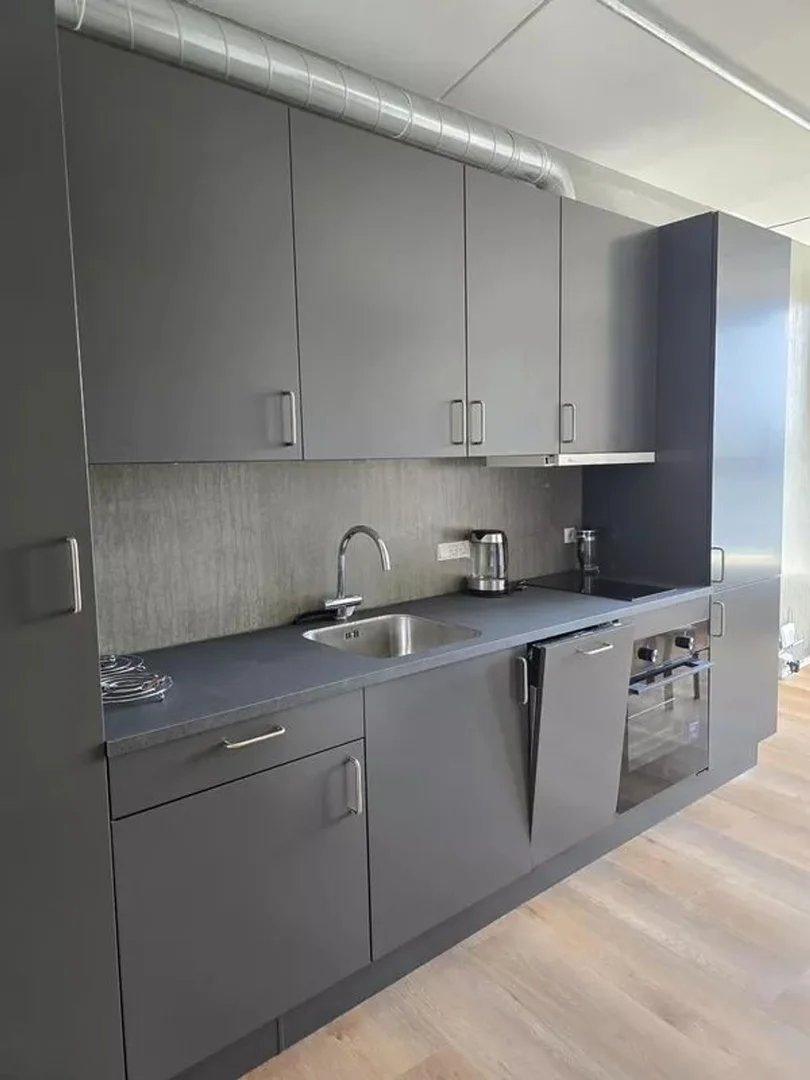 Estudio en calle Hermosilla, 66 - Foto 2