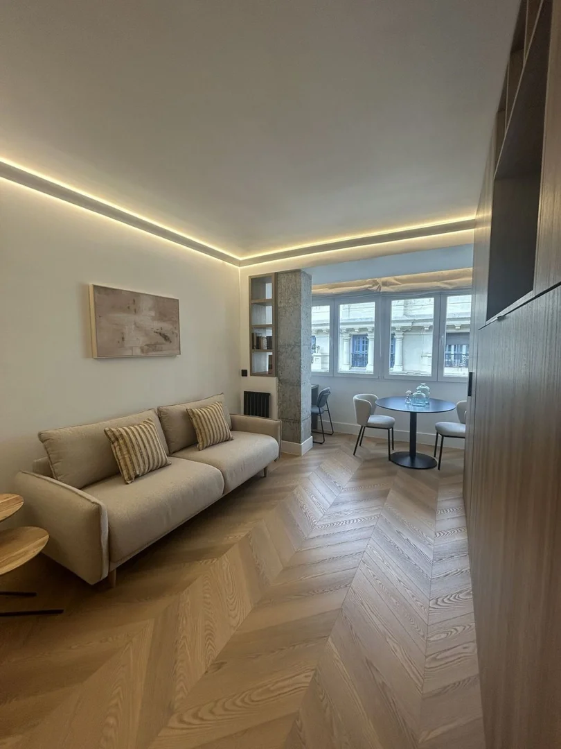 Alquiler de estudio en Calle de Hermosilla, 28 - Foto 1