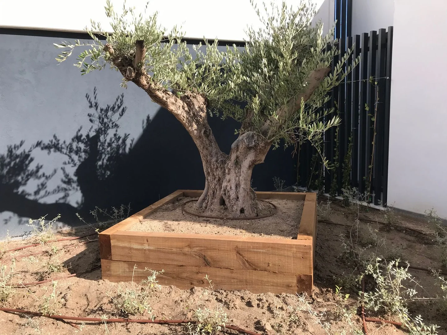 Piso en calle Ángel Martín Rodríguez, 1 - Foto 48