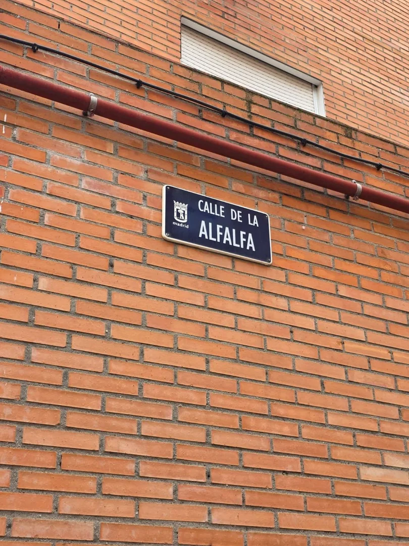 Piso en calle de la Alfalfa, 6 - Foto 5