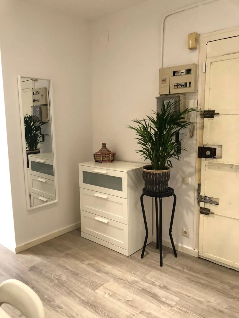 Estudio en Calle de la Cera, 22, El Raval - Foto 4