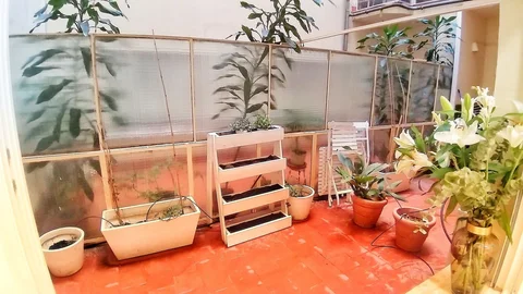 Estudio en calle de Rodríguez San Pedro, 25 - Foto 6