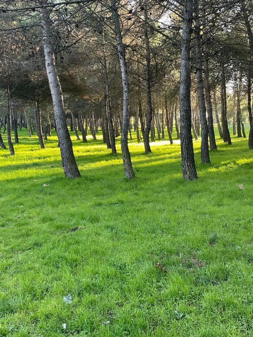 Piso en Avenida de los Prunos, 11 - Foto 22