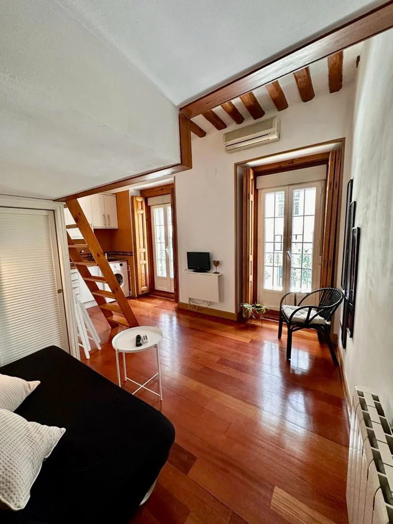 Estudio en calle del Maestro Guerrero, 4 - Foto 4