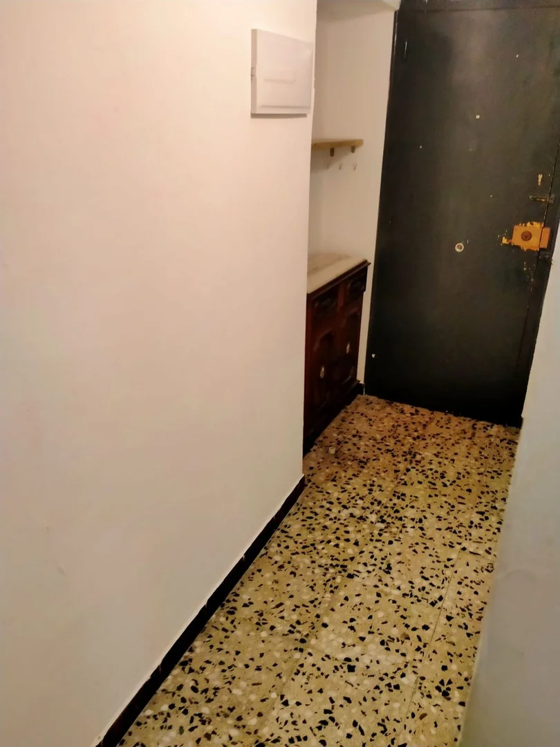 Estudio en calle del Cardenal Casañas, 5 - Foto 3