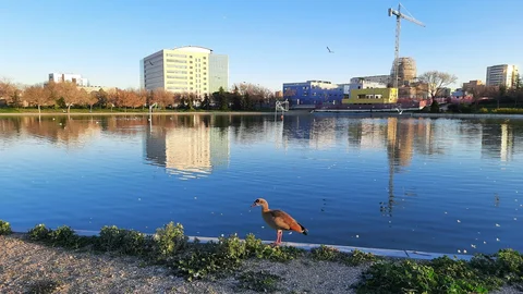 Piso en calle del Doctor Tolosa Latour, 19 - Foto 25