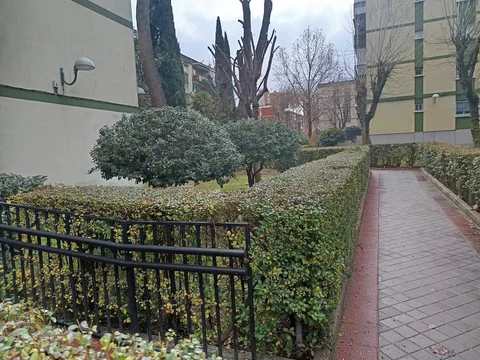 Edificio en calle de Monroy, 10 - Foto 14