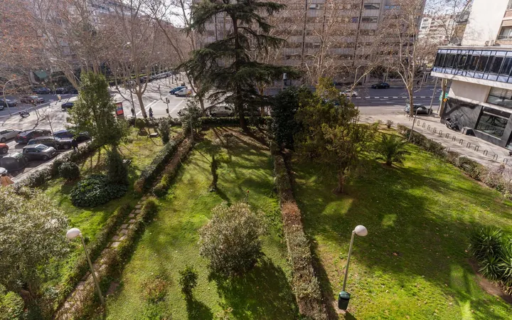 Piso en Avenida de Alberto de Alcocer, 7, Nueva España - Foto 5