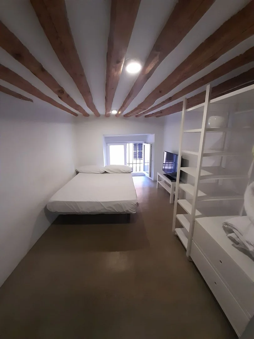 Estudio en Calle Salitre, 31, Lavapiés-Embajadores - Foto 2