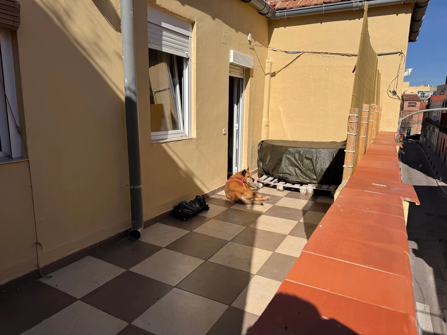 Ático en calle de Pedro Barreda, 7 - Foto 15