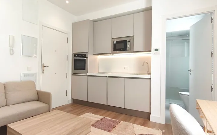 Estudio en Calle de Eguilaz, 4, Trafalgar - Foto 4