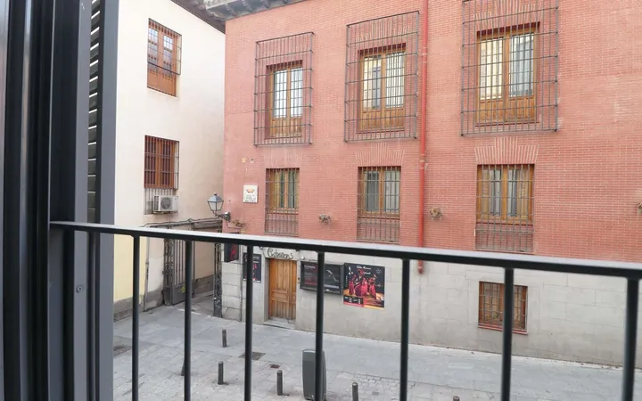 Piso en Calle de la Pasa, 4, Palacio - Foto 7