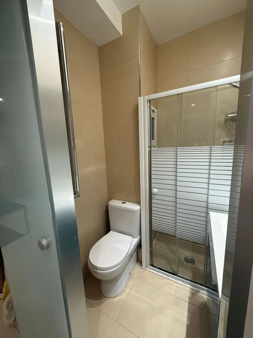 Estudio en Calle de Sánchez Pacheco, 16, Ciudad Jardín - Foto 13