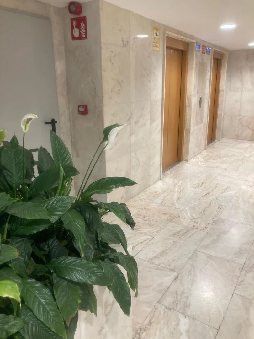 Piso en calle de la Princesa, 27 - Foto 11